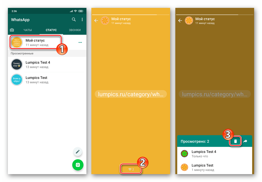 WhatsApp для Android Удаление Статуса с экрана его просмотра