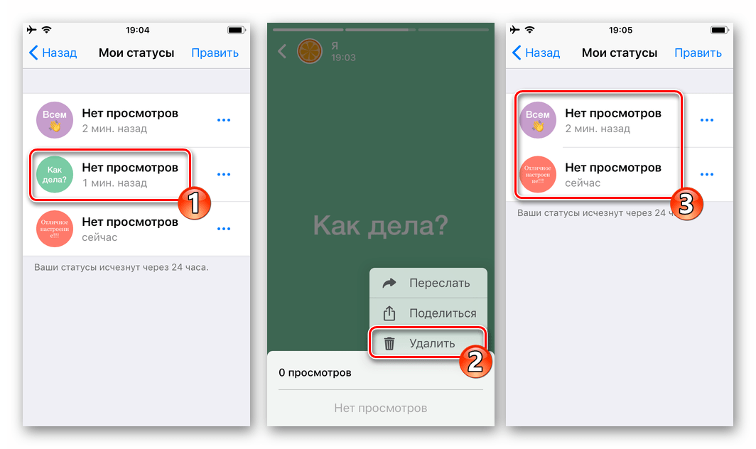 WhatsApp для iOS удаление всех обновлений Статуса поочередно из режима полноэкранного просмотра