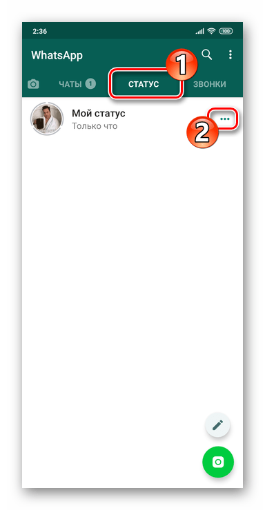 WhatsApp для Android вызов меню действий применимых к Статусу