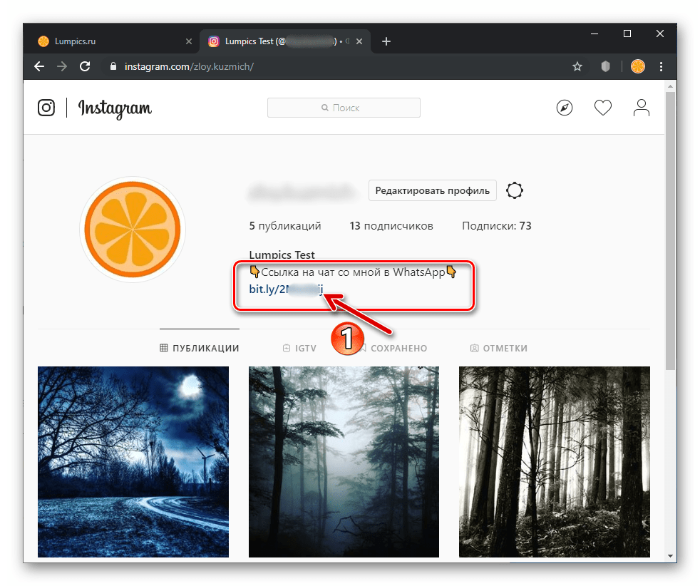 Instagram переход по ссылке на WhatsApp из описания профиля в соцсети