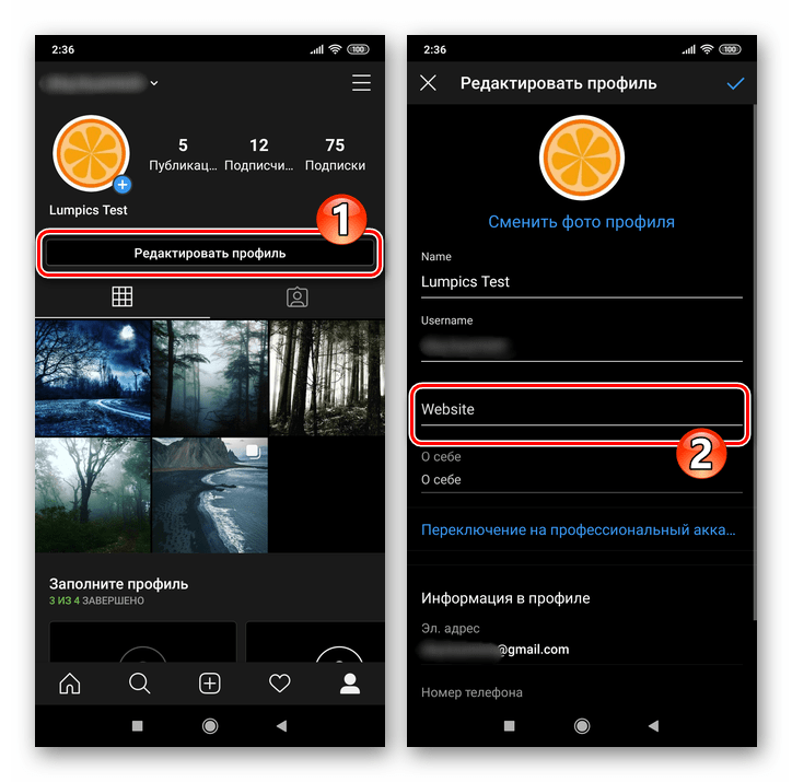 Instagram мобильное приложение кнопка Редактировать профиль - поле Website