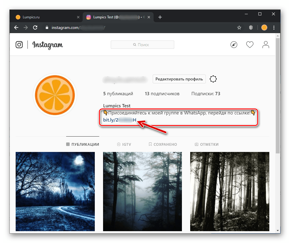 Ссылка-приглашение в групповой чат WhatsApp добавлена в Instagram