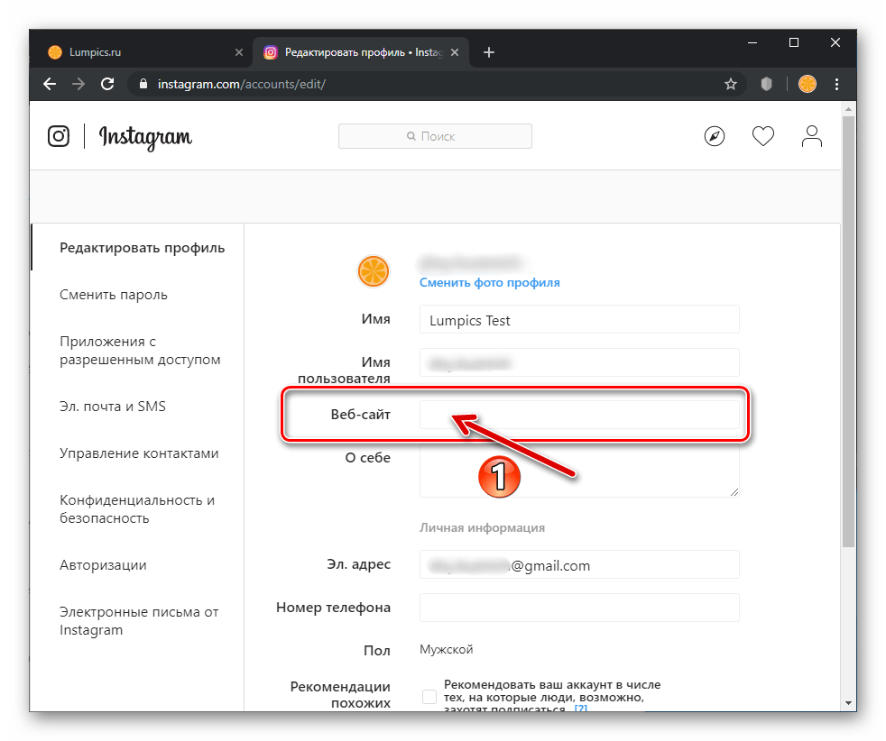 Instagram поле Веб-сайт на веб-странице редактирования профиля