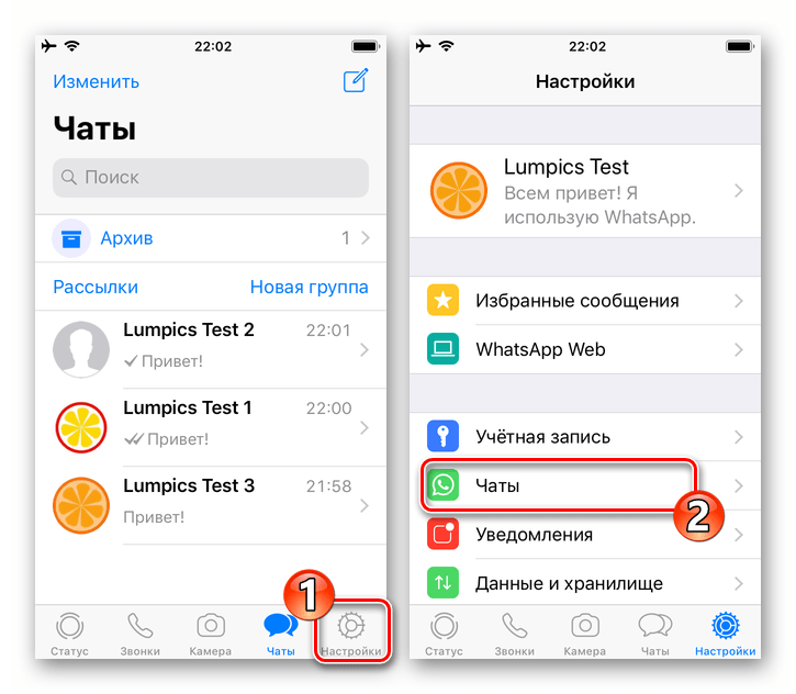 WhatsApp для iOS переход в раздел Чаты Настроек мессенджера