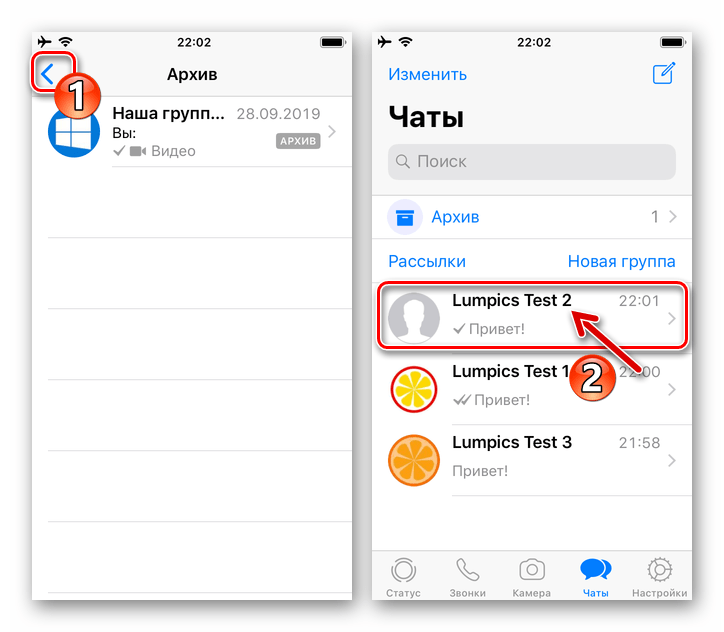 WhatsApp для iOS извлечение чата из Архива завершено