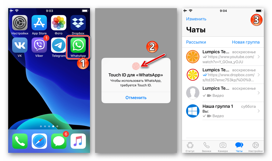 WhatsApp для iOS запуск заблокированного в настройках мессенджера