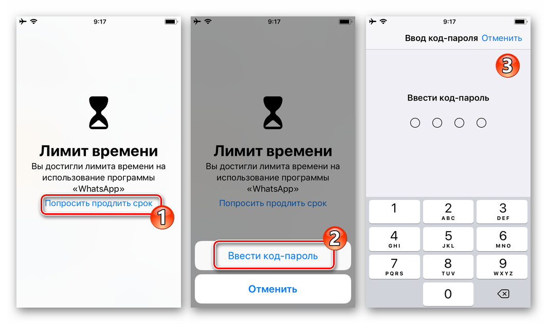 WhatsApp для iPhone ввод код-пароля для снятия Лимита времени