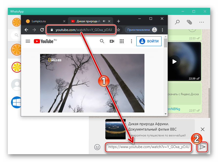 WhatsApp для Windows отправка видеоролика с YouTube через мессенджер