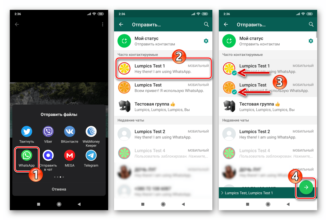 WhatsApp для Android выбор мессенджера в меню Отправить файлы, указание получателей видео