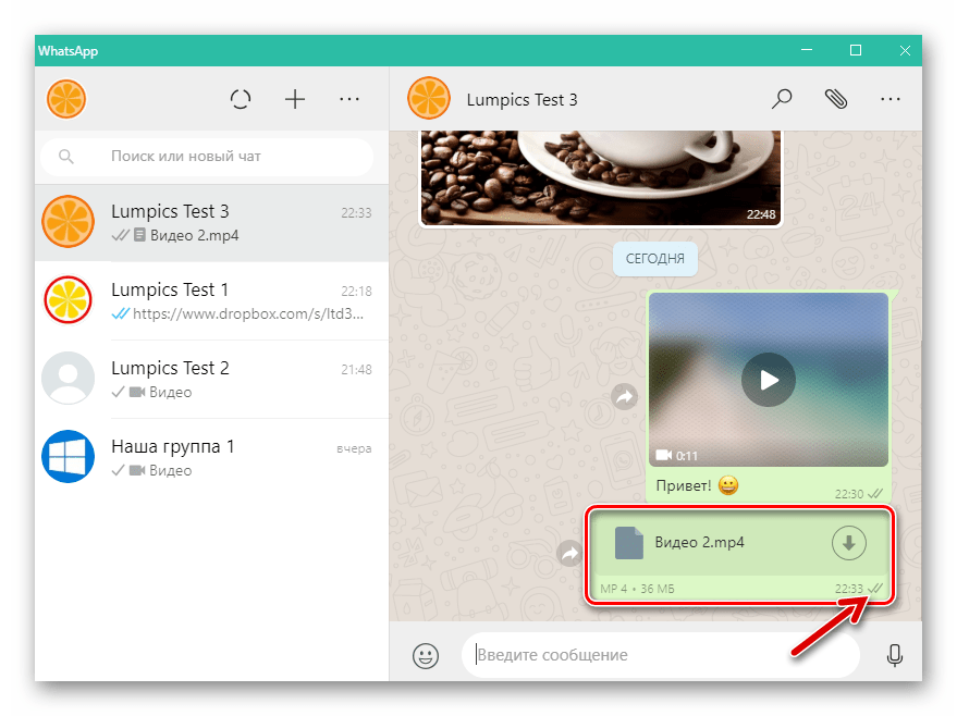 WhatsApp для Windows видеофайл отправлен через мессенджер