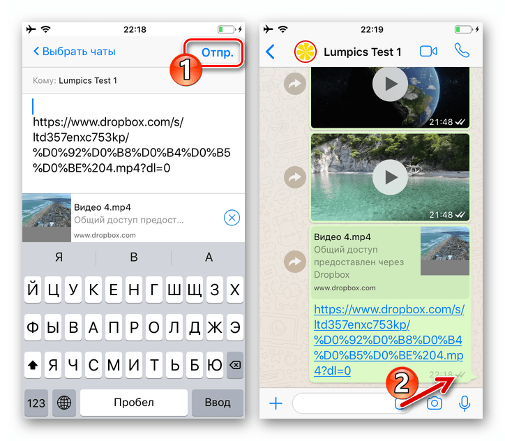 WhatsApp для iOS ссылка на видео в облачном хранилище отправлена через мессенджер