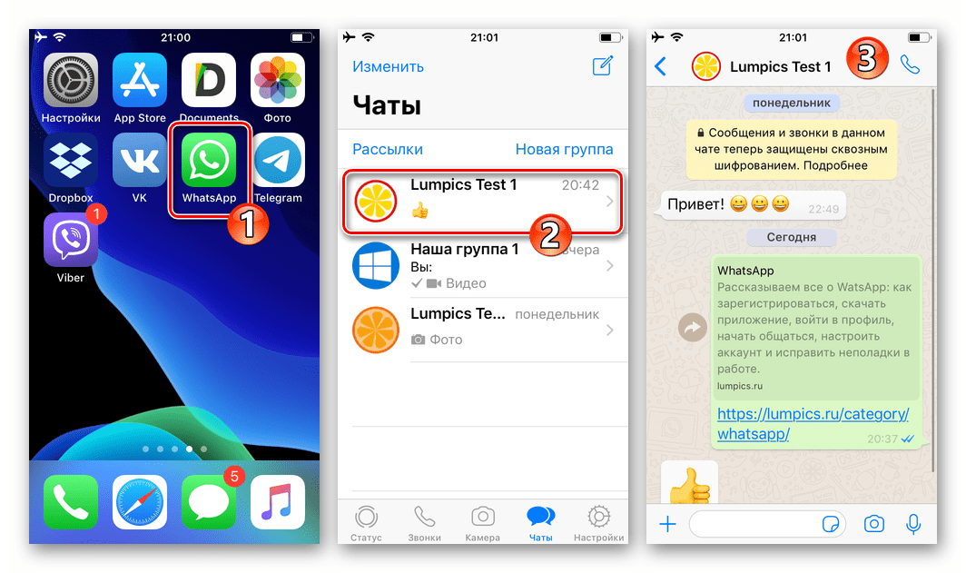 WhatsApp для iOS, запуск мессенджера, переход в чат с получателем видео