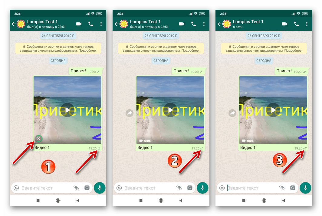 WhatsApp для Android процесс сжатия видео, отправка в чат с получателем