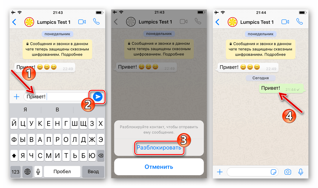 WhatsApp для iPhone отправка сообщения контакту из черного списка приводит к его разблокировке