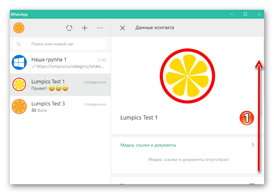 WhatsApp для Windows Область Данные контакта в окне мессенджера