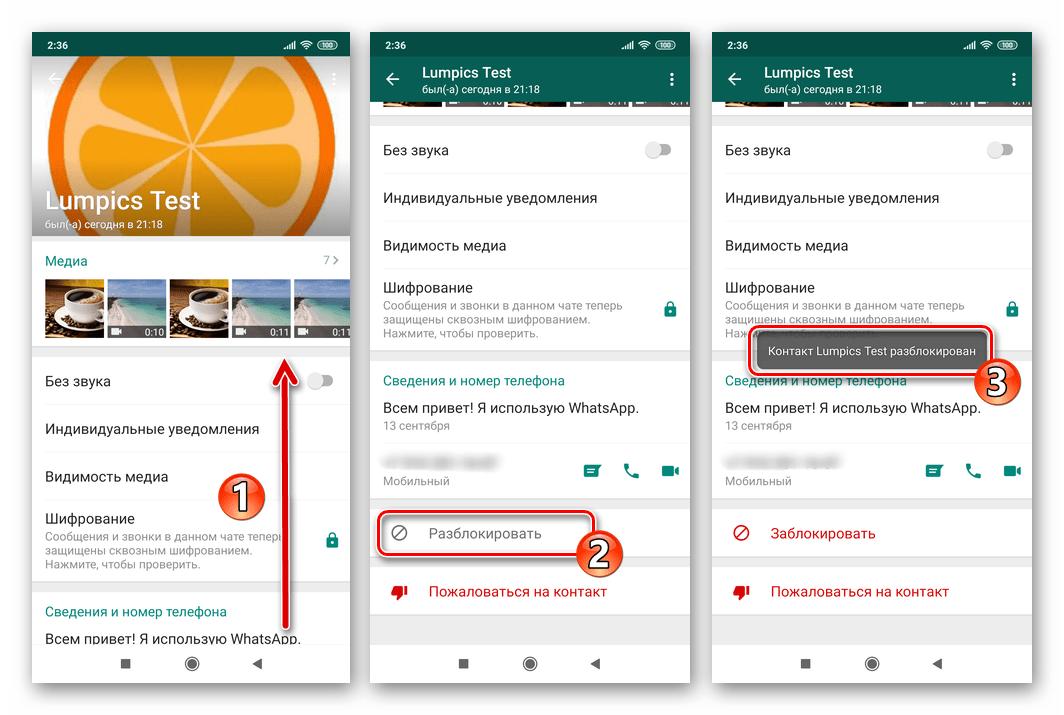 WhatsApp для Android удаление пользователя из списка заблокированные