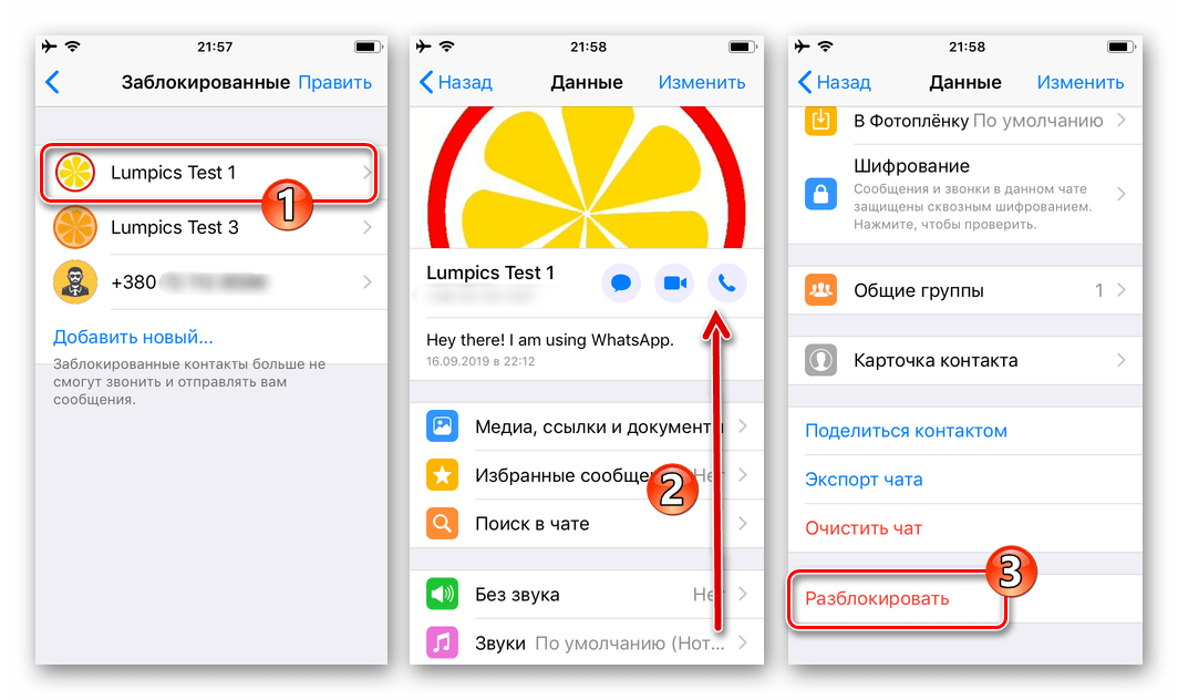 WhatsApp для iPhone удаление записей из черного списка - переход в Данные контакта