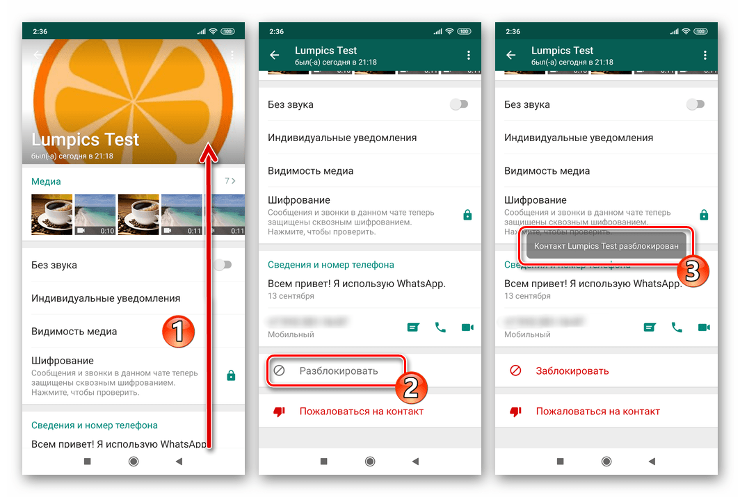 WhatsApp для Android разблокировка пользователя с экрана Просмотр контакта