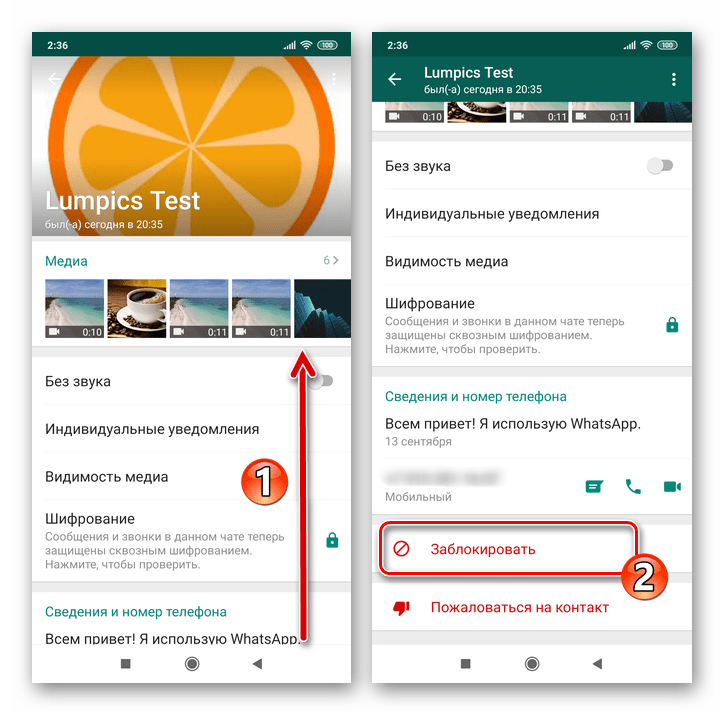 Whats App для Android Функция Заблокировать в списке опций Данные контакта