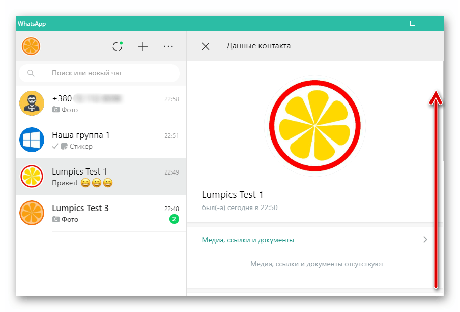 WhatsApp для ПК окно данные контакта в приложении