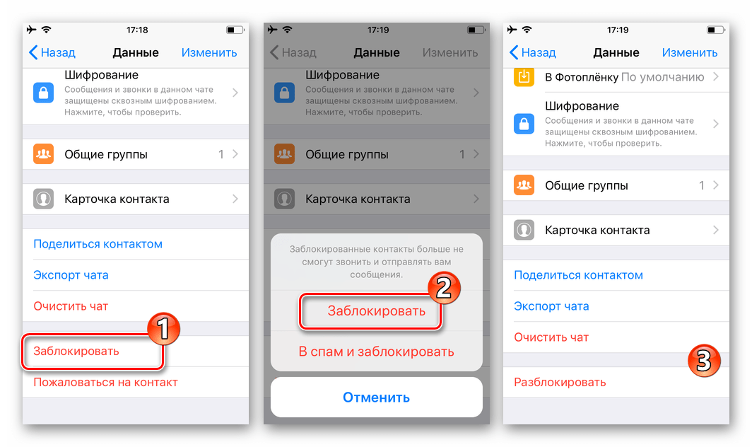 Whats App для iOS функция Заблокировать на экране с опциями чата