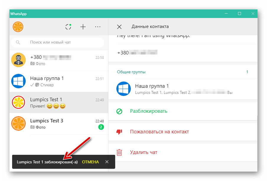 WhatsApp для ПК перенос контакта в черный список завершен