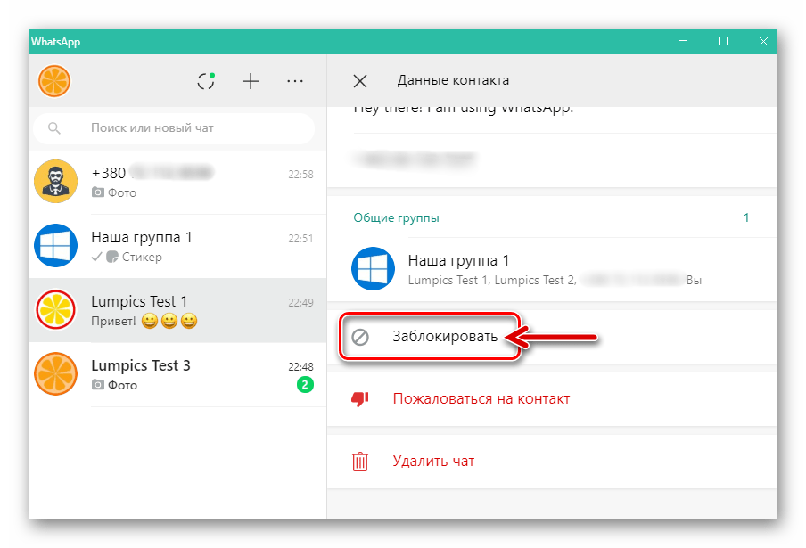 WhatsApp для ПК блокировка собеседника в списке опций Данные контакта