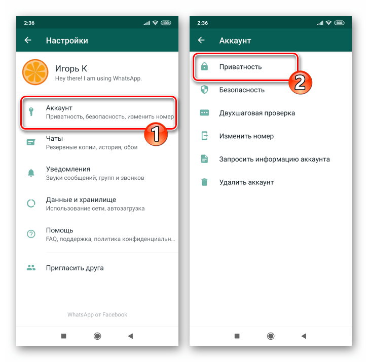 Whats App для Android Настройки - Аккаунт - Приватность