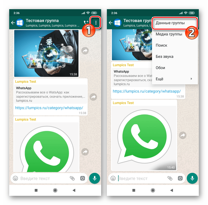 WhatsApp для Android меню группового чата - пункт Данные группы