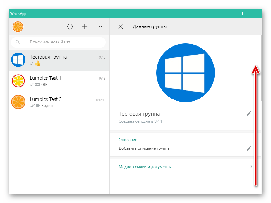 WhatsApp для ПК раздел приложения Данные группы