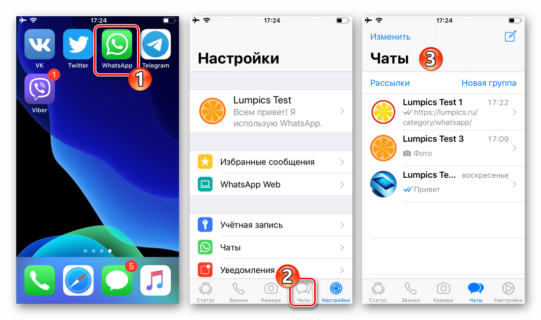 WhatsApp для iPhone запуск мессенджера, переход на вкладку Чаты