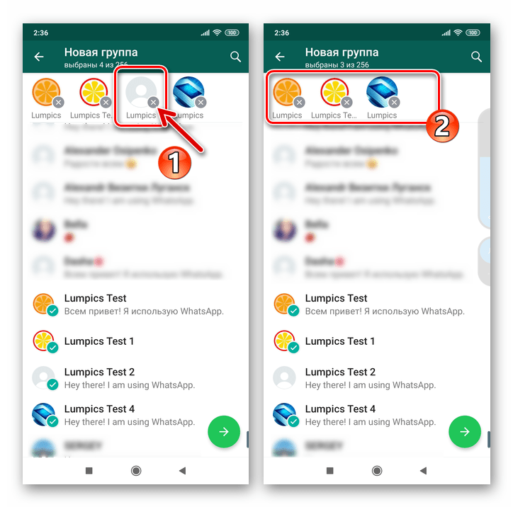 WhatsApp для Android удаление пунктов из списка участников будущего сообщества