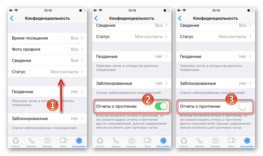 WhatsApp для iPhone отключить Отчеты о прочтении в настройках Конфиденциальности мессенджера