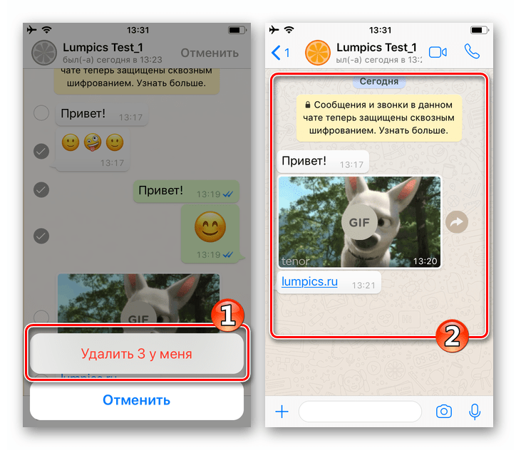 WhatsApp для iPhone подтверждение удаления сообщений - чат очищен