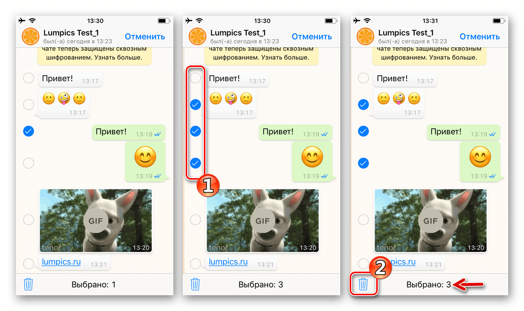 WhatsApp для iPhone Выбор и удаление нескольких сообщений