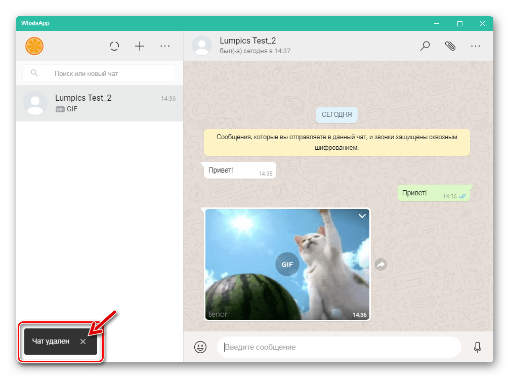 WhatsApp для Windows чат удален из мессенджера