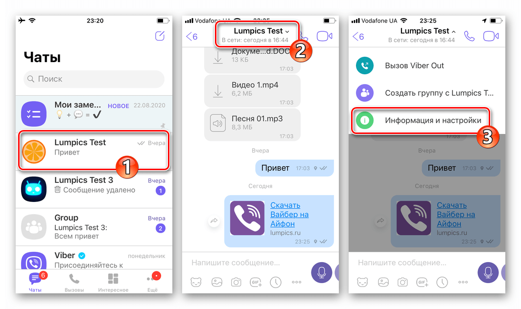 Viber для iPhone вход в чат, где включена отправка геолокации, открытие Информация и настройки