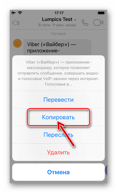 Viber для iPhone - копирование текстового сообщения в буфер обмена iOS