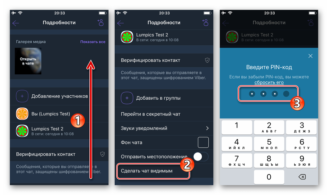 Viber для iOS пункт Сделать чат видимым в панели Подробности скрытого чата