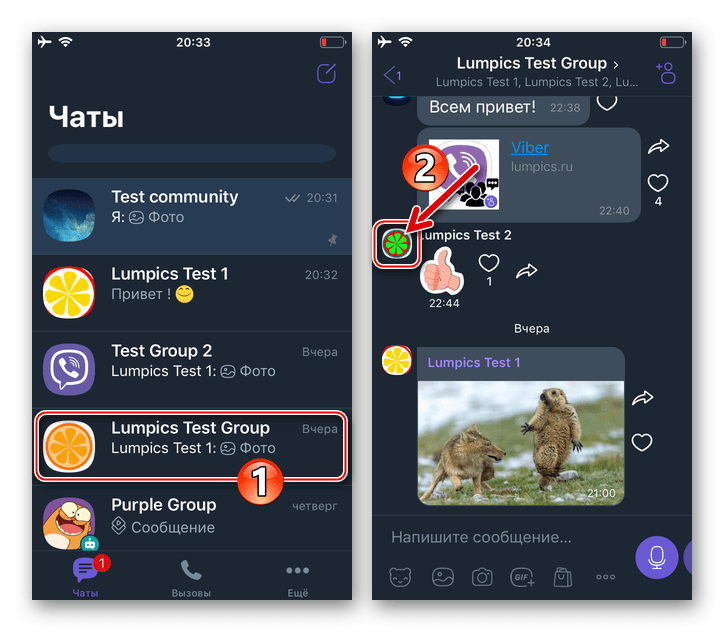 Viber для iOS переход в групповой чат, вызов экрана с информацией о любом участнике