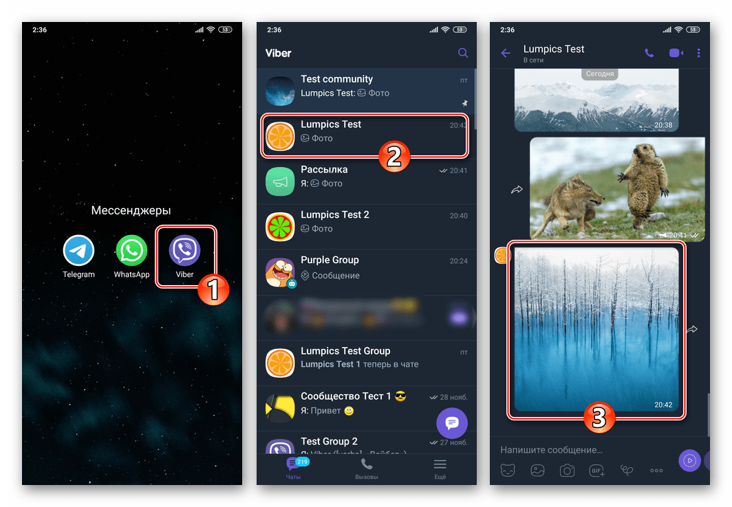 Viber для Android запуск мессенджера, переход в чат, попытка открыть фото