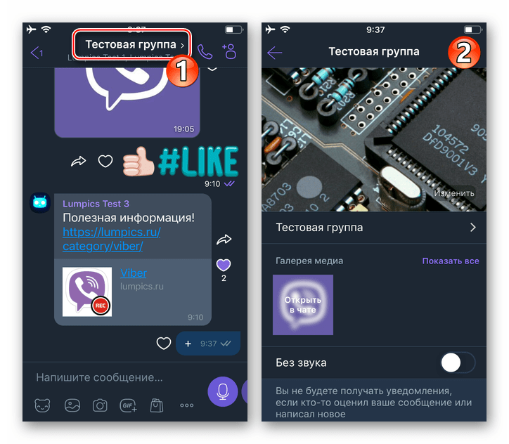 Viber для iOS вызов меню параметров группового чата