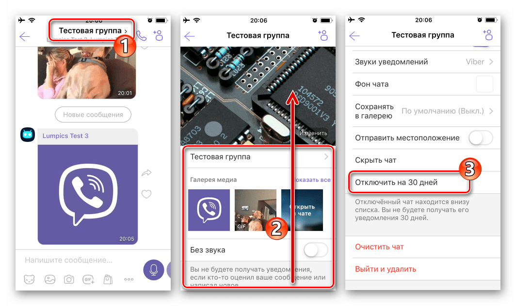 Viber для iOS параметры группы или сообщества - Отключить на 30 дней