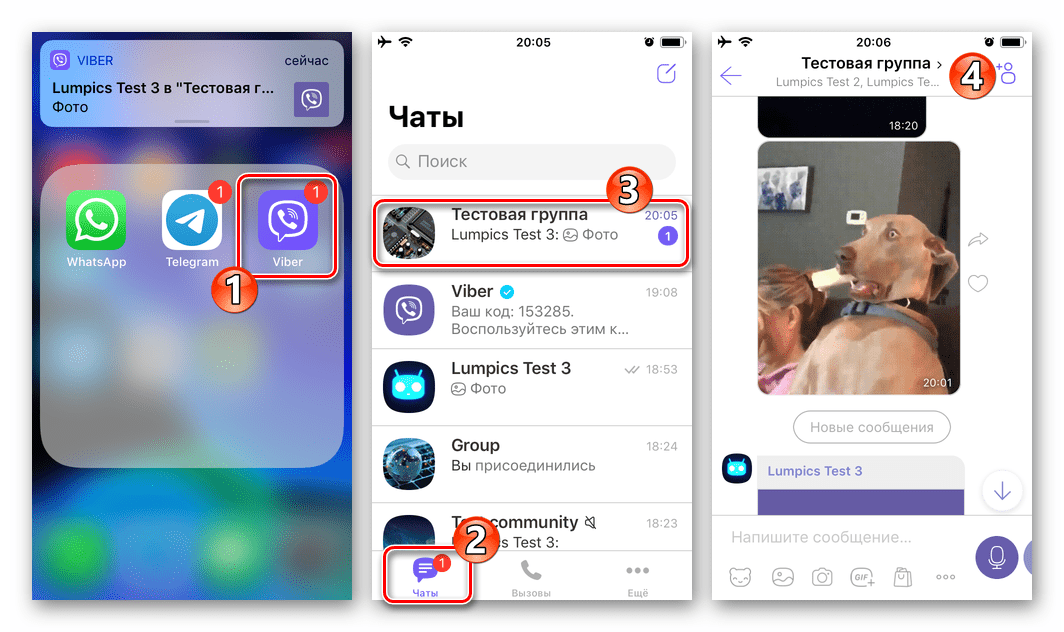 Viber для iOS запуск мессенджера переход в группу или сообщество