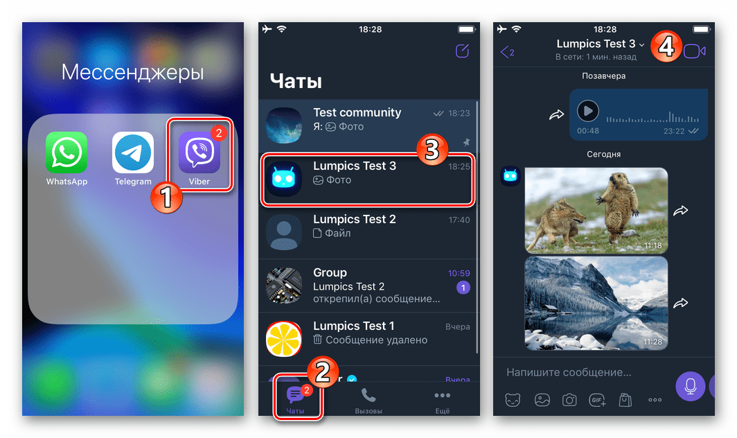 Viber для iPhone - запуск мессенджера, переход в чат