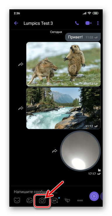 Viber для Android - кнопка Камера на экране чата для отправки фото или видео