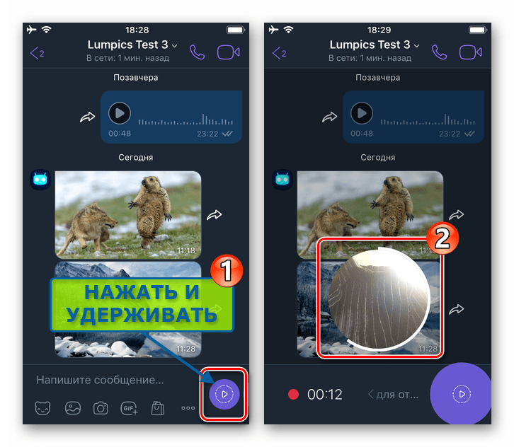 Viber для iPhone - создание видеосообщения с фронтальной камеры смартфона