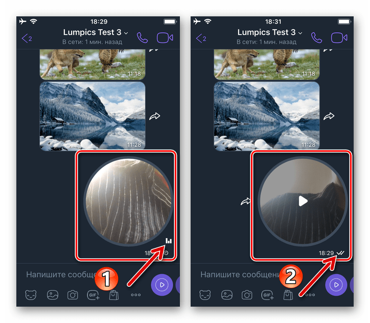 Viber для iPhone - видеосообщение отправлено