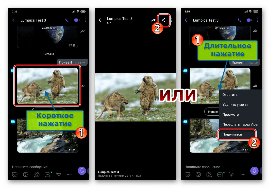 Viber для Android кнопка Поделиться для фото в переписке и на экране полноэкранного просмотра