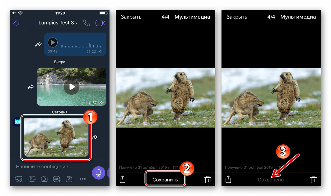 Viber для iPhone сохранение фото из мессенджера в Галерею